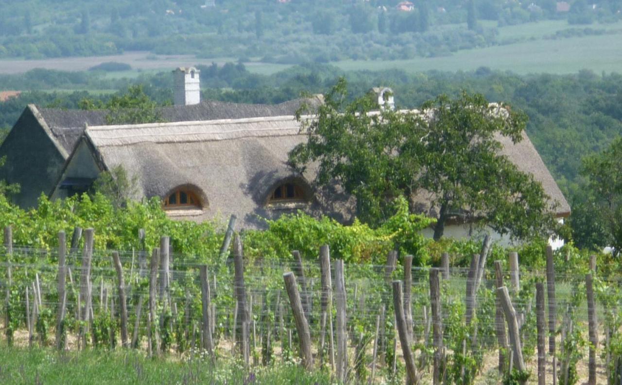 Traditional At Balaton Vaszoly