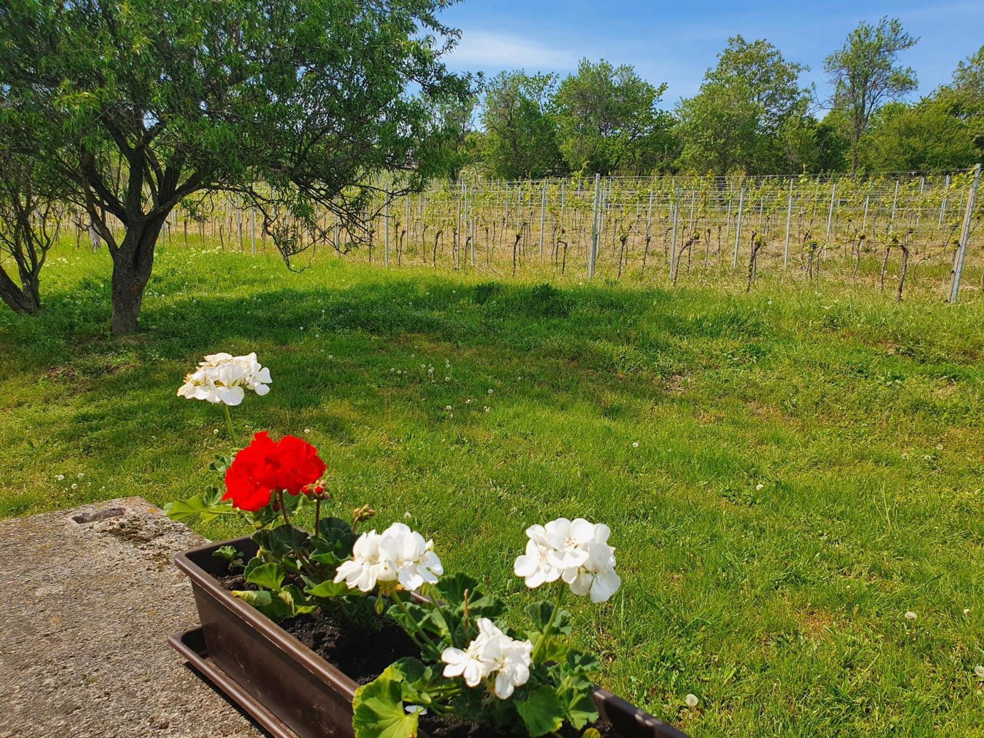 Traditional At Balaton Holiday home